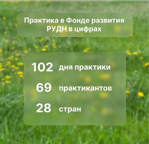Наставничество. Практики и стажировки